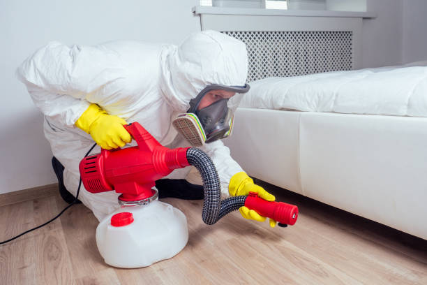 Best Local Pest Control Services  in Long Grove, IA