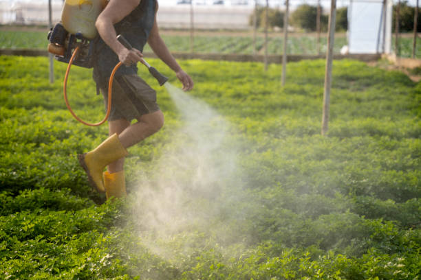 Trusted Long Grove, IA Pest Control Experts